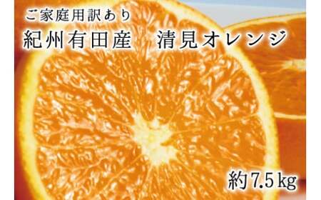 [ご家庭用訳アリ]紀州有田産清見オレンジ7.5kg サイズお任せ ※2025年3月下旬〜2025年4月中旬頃に順次発送予定(お届け日指定不可) [uot730]