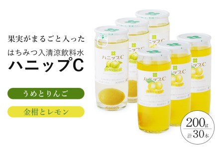 ʎ萴@njbvb 2ރZbgi30{jyprm001Az