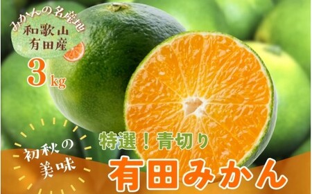 [先行予約][初秋の美味][農家直送]特選 青切り有田みかん 約3kg+200g(傷み補償分)[2026年9月中旬〜10月上旬頃に順次発送予定][ard043C]