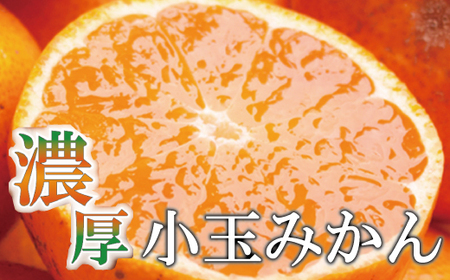 [11月より発送]家庭用 小玉な有田みかん7.5kg+225g(傷み補償分)[わけあり・訳あり][光センサー選果][ikd118B]