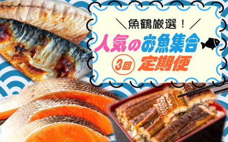 [全3回]魚鶴厳選!人気のお魚集合定期便(さば・銀鮭・うなぎ)/ 定期便 3回定期便 おかず定期便 さば 鯖 鮭 さけ うなぎ 鰻 蒲焼 おかず 惣菜 お惣菜 海鮮 魚 魚貝 海鮮丼 丼 [tkb307]