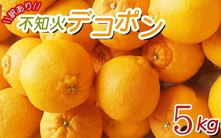 訳あり 不知火 約5kg ご家庭用 先行予約 訳アリ みかん ミカン 不知火デコポン しらぬい フルーツ 果物 くだもの 柑橘 人気 ※2026年2月中旬より順次発送予定(お届け日指定不可)[nuk120D]