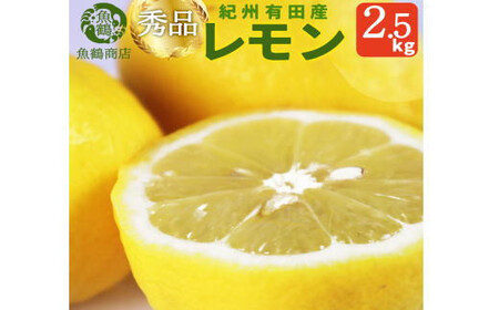 秀品 紀州有田産レモン 2.5kg[予約]※2025年3月上旬頃〜3月下旬頃に順次発送予定(お届け日指定不可) レモン れもん 果物 柑橘[uot776]