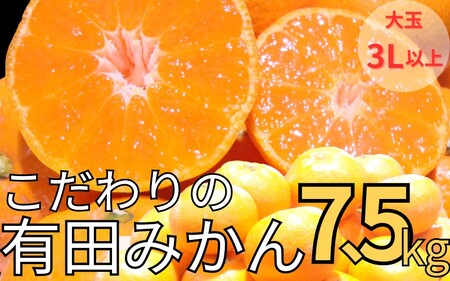 [農家直送]有田みかん 約7.5kg 大玉3L以上 有機質肥料100% ※2025年12月初旬〜1月中旬に順次発送(お届け日指定不可)/みかん ミカン 温州みかん 柑橘 有田 和歌山 産地直送[nuk158C]