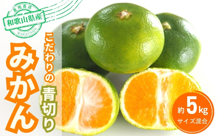[2025年秋頃発送予約分]こだわりの青切りみかん 約5kg 有機質肥料100% サイズ混合 ※2025年9月下旬より順次発送予定(お届け日指定不可)[nuk150B]