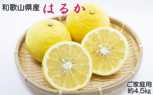 [さわやか柑橘]和歌山県産はるかみかん約4.5kg(サイズ混合 ご家庭用)※2027年2月下旬〜2027年3下旬頃順次発送[tec954]