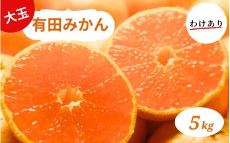 和歌山県産 有田みかん 大玉5kg 2L〜3L 訳あり [ミカン 有田みかん 和歌山 有田 訳あり][smt001]