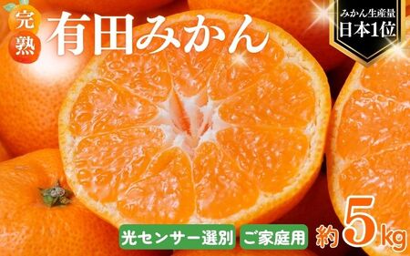 【年内発送】 みかん こだわりの有田みかん 約5kg＋250g(傷み補償分) 家庭用 光センサー選別 先行予約 有機質肥料100% サイズ混合 【2024年12月発送】 / みかん ミカン 有田みかん 温州みかん ブランドみかん 果物 くだもの フルーツ 柑橘 和歌山 年内発送 年内配送 年内 【nuk160-2C】