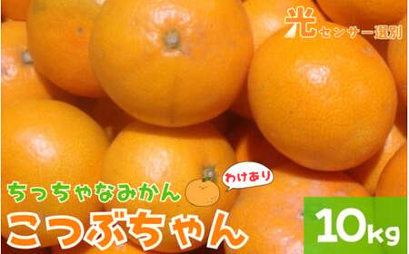 [訳あり]3S ちっちゃな有田みかん 10kg ※2024年11月中旬〜2025年1月中旬までに順次発送予定(お届け日指定不可)※北海道・沖縄・離島への配送不可[nuk164A]