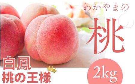 [予約受付] 桃 の王様 白鳳 特秀品 約2kg 6個~9個 2025年6月末頃〜7月末頃に順次発送予定 / 桃[kgr009]