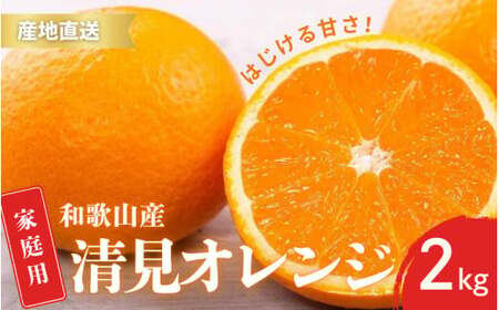 [先行予約]ご家庭用 きよみ 清見オレンジ 和歌山 有田 S〜2Lサイズ 大きさお任せ 2kg[2月中旬〜3月下旬頃に順次発送]/ みかん フルーツ 果物 くだもの 蜜柑 柑橘[ktn042]