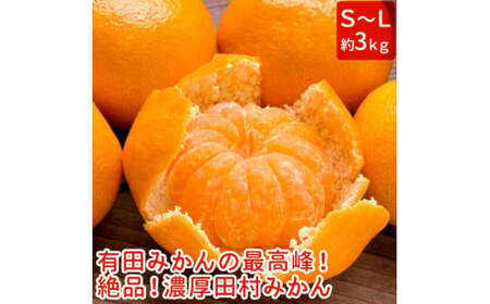 [和歌山特産品][プレミアムブランド]絶品!濃厚田村みかん 秀品 約3kg ※2024年11月下旬〜12月下旬頃に順次発送予定 ※北海道・沖縄・離島への配送不可[ard214]