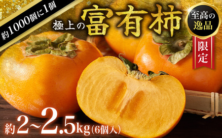 [先行予約]富有柿 2kg〜2.5kg 6個入 至高の逸品 約1000個に1個! 2025年10月下旬〜2025年11月下旬頃に順次発送予定(お届け日指定不可) | 和歌山 柿 かき フルーツ 果物 くだもの 刀根 種無し[kgr013]