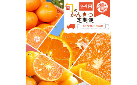 [全4回]紀州和歌山産旬のご家庭用柑橘セット(みかん・不知火・せとか・清見)[tkb412]