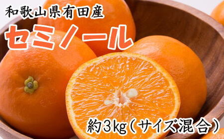 [濃厚オレンジ]和歌山有田産セミノール約3kg(サイズ混合 秀品)※2026年4月中旬〜2026年5月上旬頃に順次発送[tecj1023]