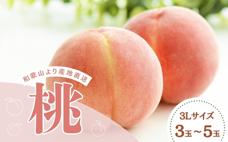 和歌山県産の桃 3Lサイズ(3玉〜5玉)[2025年6月中旬頃から8月上旬頃順次発送予定] | 和歌山 もも 桃 甘い ギフト 贈り物 プレゼント 夏ギフト 果物 フルーツ 人気 産地直送 和歌山県 お取り寄せ[mat109]