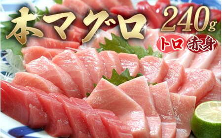 [串本町×北山村]本マグロ(養殖)トロ&赤身セット 240g[7月発送分][nks113-7]