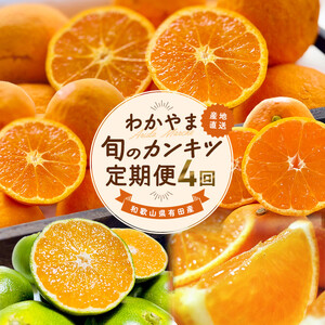 [全4回]和歌山旬のカンキツ定期便[S]3・5・9・11月発送(ご家庭用)(配送日時指定不可)※北海道・沖縄・離島への配送不可 / 定期便 フルーツ みかん 清見オレンジ 青切り 青切りみかん カラマンダリン 4回[ard-tkb905]