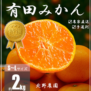 みかん 特選 有田みかん S〜Lサイズ 約2kg[ktn052]