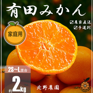 みかん 家庭用 訳あり 有田みかん 2S〜Lサイズ 約2kg[ktn056]
