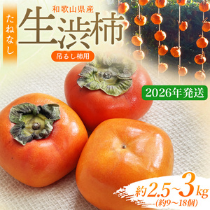 甘さが違う!とっても甘くなる生渋柿(平たねなし柿)吊るし柿用 T字枝or吊るしクリップ付 約2.5〜3kg 約9〜18個 10月下旬〜順次発送[art040]