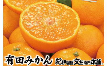 [予約受付]ブランド有田みかん 秀品2.8kg/サイズお任せ ※2026年10月中旬〜2027年1月中旬頃に順次発送予定(お届け日指定不可) 紀伊国屋文左衛門本舗[ntb144]
