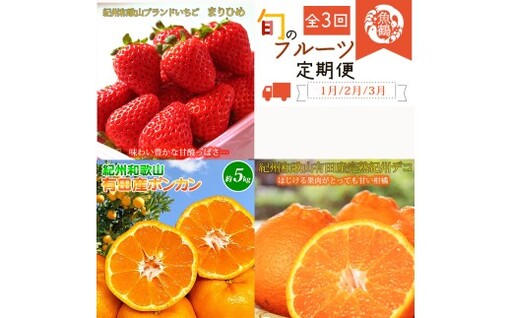 [発送月固定定期便]紀州和歌山産旬のフルーツセット(いちご2P・ポンカン・紀州デコ約3kg)全3回 [tkb451]