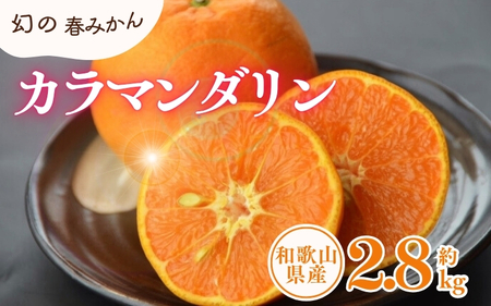 J}_ 3kg/TCY܂@2026N4{`2026N5{ɏ\(͂ws)@Iɍq{܁yntb471Bz