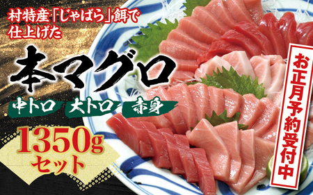 【 年末配送 お正月予約 】本マグロ（養殖）トロ＆赤身セット1350g【12月26日～30日発送】 まぐろ マグロ 鮪 お刺身 赤身 トロ 柵 年内配送 年内発送 年末配送 年末発送【nks111-sg】