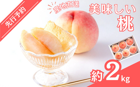 [先行予約受付]和歌山県産の美味しい桃 約2kg (6〜9玉入り)[2024年6月中旬頃から順次発送予定][mat101A]