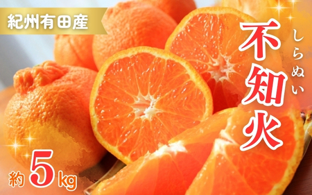 先行予約 紀州有田産不知火(しらぬひ) 約5kg [2025年2月中旬頃〜3月上旬頃発送] みかん 柑橘類[uot709]