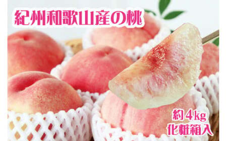 桃 もも 紀州和歌山産の桃 約4kg 化粧箱入 ※2025年6月下旬～2025年8月上旬頃順次発送（お届け日指定不可）/ 桃 もも モモ フルーツ 果物 くだもの 人気 産地直送 贈答 贈り物 ギフト プレゼント 和歌山の桃 【uot723A】