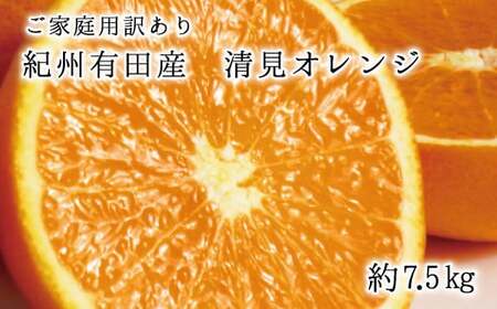 [ご家庭用訳アリ]紀州有田産清見オレンジ7.5kg サイズお任せ ※2025年3月下旬〜2025年4月中旬頃に順次発送予定(お届け日指定不可) [uot730]