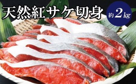 和歌山魚鶴仕込の天然紅サケ切身約2kg【uot401-3】