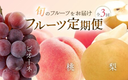 【3か月定期便】和歌山産フルーツ定期便！人気の桃・梨・ピオーネ　旬のフルーツを毎月お届け♪【tkb114】
