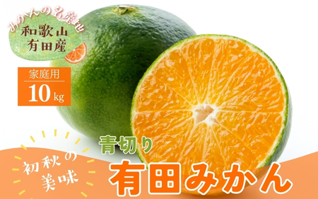 【先行予約】【2026年9月中旬～10月上旬頃に順次発送予定】【農家直送】ご家庭用青切り有田みかん　10kg+200g(傷み補償分)　 【ard046D】
