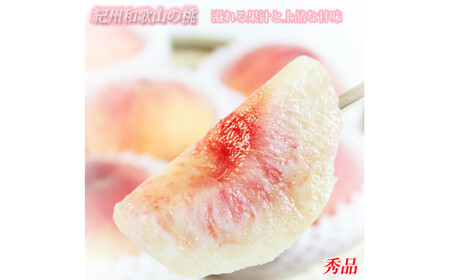 Gi@IBa̎RY̓@3ʁ@ϔ@2026N6{?2026N8{i͂wsjyuot750z