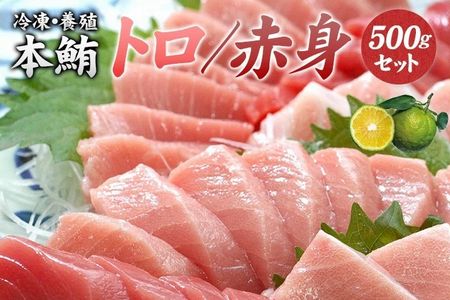 y{×kRz{}Oi{BjgԐgZbg500g y11z  ܂ }O  g Ԑg ynks110D-11z