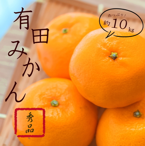 紀州有田みかん 秀品 約10kg(МまたはSサイズ)[sml109A]