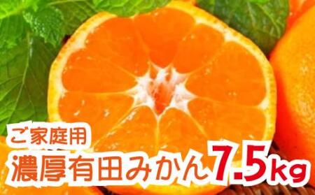 予約 和歌山 有田みかん みかん/[先行予約][2024年12月発送]農園直送!完熟有田みかん 約7.5kg[12月発送][ard003B-2]