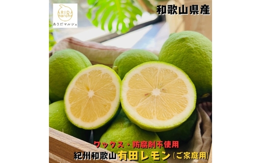 紀州和歌山 ご家庭用 有田 レモン 5kg+200g(痛み補償分)【防腐剤・ワックス不使用】【農家直送】【訳あり】 ※着日指定不可 ※2026年9月下旬～2027年3月下旬に順次発送予定【ard190A】