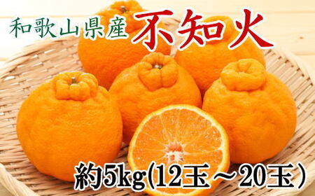 和歌山県産不知火約5kg(12玉〜20玉おまかせ) ※2025年2月下旬〜2025年3月中旬頃に順次発送予定(日付指定不可)[tec955]