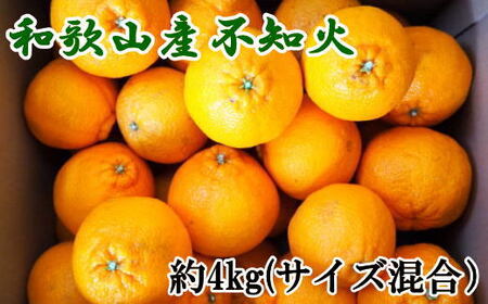 和歌山県産不知火約4kg(サイズ混合) ※2025年2月下旬〜2025年3月中旬頃に順次発送予定(日付指定不可)[tec957]