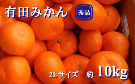 紀州有田みかん 秀品 約10kg 2Lサイズ ※2024年11月下旬頃より順次発送予定[sml129]