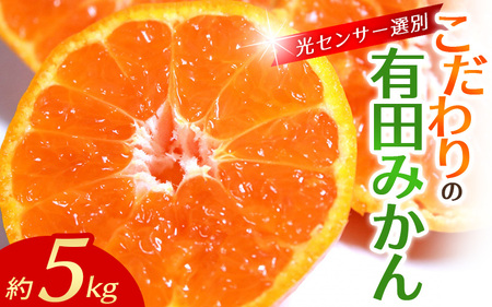 みかん 【2025年12月発送予約分】＼光センサー選別／農家直送 こだわりの有田みかん 約5kg＋250g(傷み補償分) 【ご家庭用】【12月発送】 ※北海道・沖縄・離島配送不可【nuk160-12A】