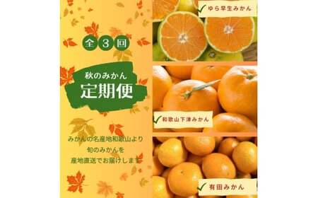 [3か月定期便]みかんの名産地和歌山発!秋のみかん定期便♪ゆら早生みかん・下津みかん・有田みかん[tkb362]