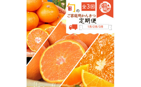 [全3回]紀州和歌山産旬のご家庭用柑橘セット(みかん・不知火・清見)[tkb411]