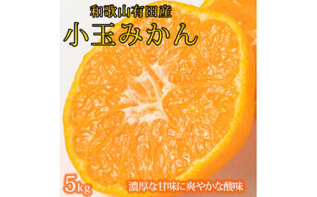 有田の小粒みかん5kg (S〜3Sサイズ混合) ※2025年11月下旬頃〜12月下旬頃に順次発送予定 / みかん ミカン 蜜柑 温州みかん 柑橘 フルーツ 果物 くだもの 和歌山[uot845]