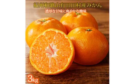 [先行予約]高級ブランド 秀品 紀州有田田村産みかん 3kg ※2025年12月頃〜2026年1月下旬頃に順次発送予定 / みかん ミカン 蜜柑 温州みかん 柑橘 フルーツ 果物 [uot848]