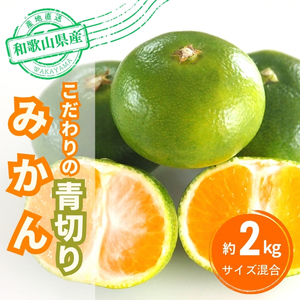 [2025年秋頃発送予約分][農家直送]こだわりの青切りみかん 約2kg 有機質肥料100% サイズ混合 ※2025年9月下旬より順次発送予定(お届け日指定不可)[nuk169]
